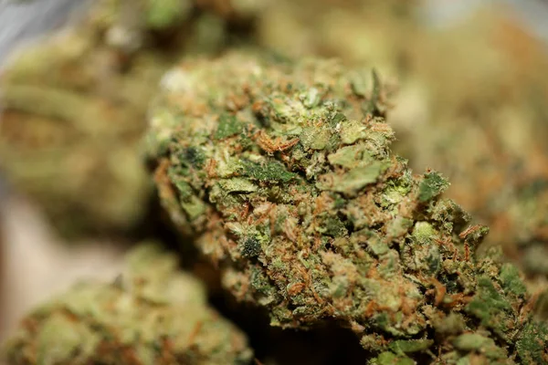 Közelkép Jack Herrer Orvosi Marihuána Bimbók Részletei Cannabis Üvegedényben Hátterek — Stock Fotó