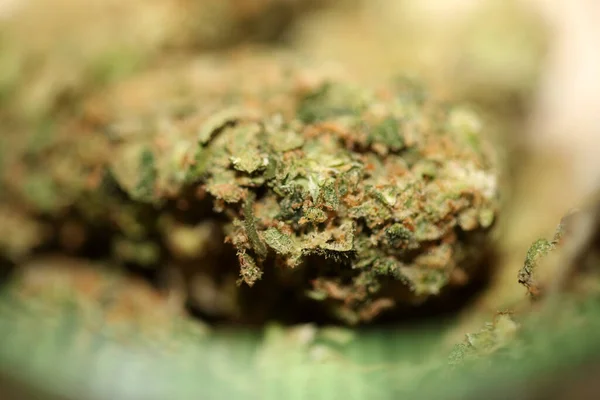 Close Jack Herrer Medical Marijuana Buds Detail Cannabis Glass Jar — Stock Photo, Image