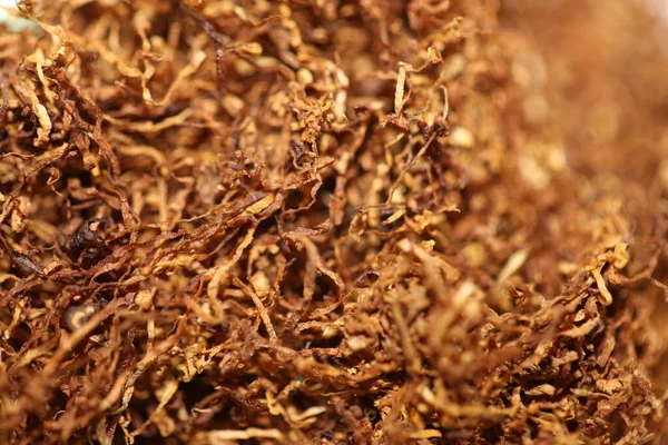 転がるタバコ葉幸運なストライキマクロ背景ストック写真高品質乾燥したプレミアム喫煙インスタントプリント — ストック写真