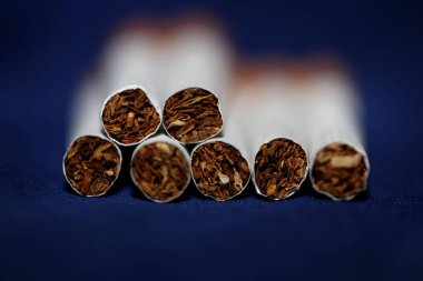 Renkli arka planda pek çok sigara filtre tüplü bir rulo tütünün kapağını kapatır. Ticari sigara yığınları sigara içilmeyen sigara yığınlarının konsept görüntüsü yüksek kaliteli hazır baskıları öldürür.