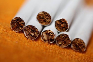 Renkli arka planda pek çok sigara filtre tüplü bir rulo tütünün kapağını kapatır. Ticari sigara yığınları sigara içilmeyen sigara yığınlarının konsept görüntüsü yüksek kaliteli hazır baskıları öldürür.