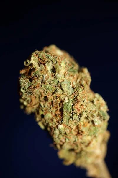 Getrocknete Marihuana Knospen Von Medizinischen Cannabis Rollgelenken Mit Kalifornien Angebauten — Stockfoto