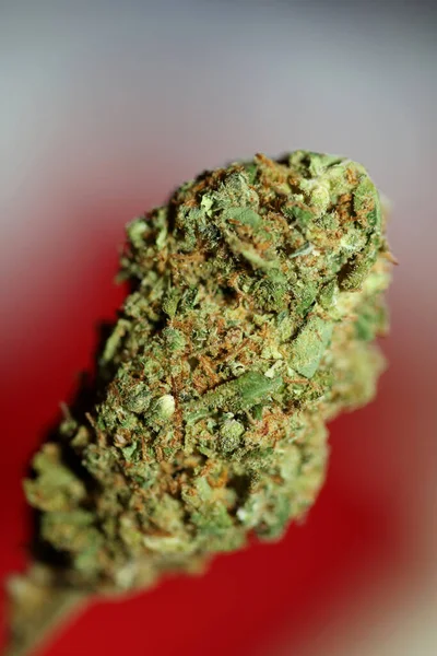 Gedroogde Marihuana Toppen Van Medicinale Cannabis Rollen Gewrichten Met Gesnoeid — Stockfoto