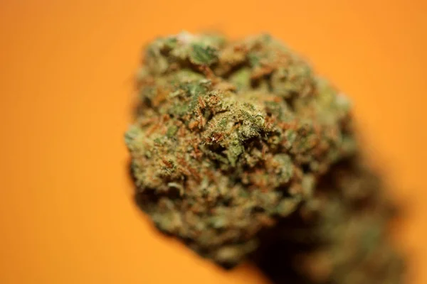 Maconha Seca Brotos Cannabis Medicinal Rolando Articulações Com Coisas Aparadas — Fotografia de Stock