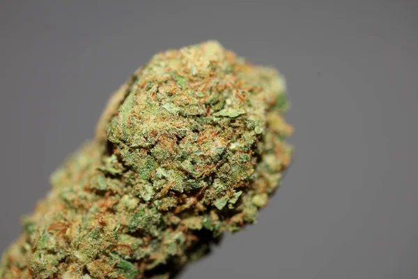 Αποξηραμένα Μπουμπούκια Marihuana Της Ιατρικής Κάνναβης Τροχαίο Αρθρώσεις Κομμένα Πράγματα — Φωτογραφία Αρχείου