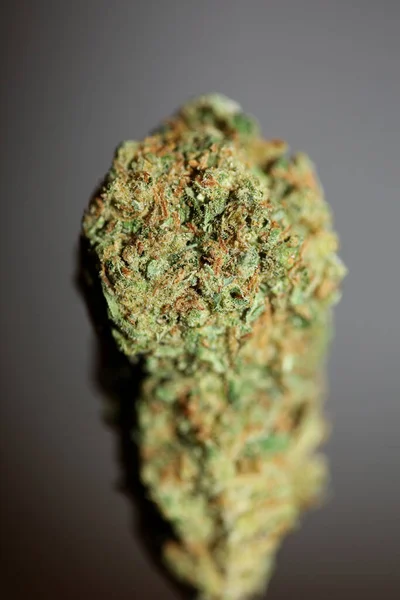 Szárított Marihuána Bimbók Orvosi Kannabisz Gördülő Ízületek Vágott Dolgokat Termesztett — Stock Fotó