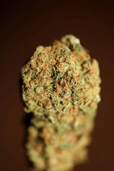 在加利福尼亚种植的带有修剪过的药用大麻连杆的干大麻芽 治疗性强 吸气性强的杂草 尺寸大 质量好 立竿见影 — 图库照片