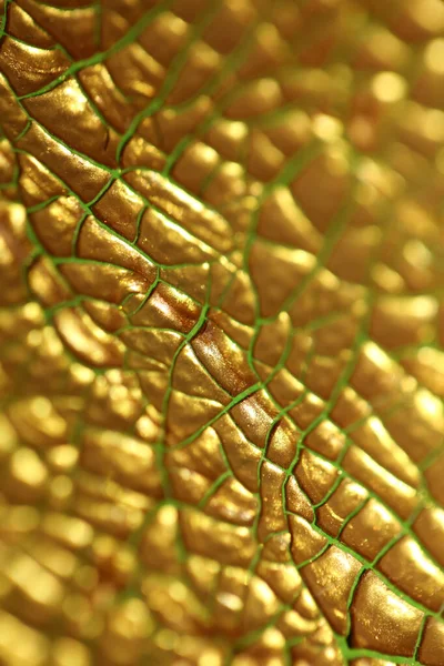 Cracked Golden Painting Canvas Macro Modern Background High Quality Big — Stok Foto