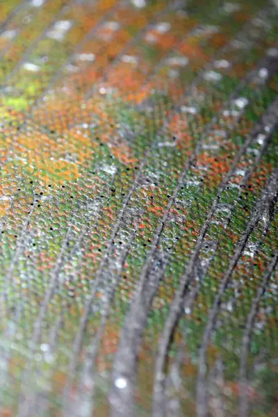 Abstrato Acrílico Aquarela Esfregaço Pintura Cores Sobre Tela Textura Horizontal — Fotografia de Stock