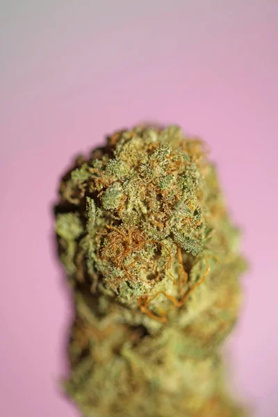 Cannabis Bud Macro Super Bubble Gum Smoking All Day Mania — Foto Stock