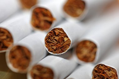 Renkli arka planda pek çok sigara, bir rulo tütünü kağıda sarıp filtre tüpüyle kapatılıyor. Sigara içilmeyen sigara yığınlarının ticari konsept görüntüsü yok. Sigara içilmeyen sigara tütünü yüksek neonicotinoid tehlikesini öldürüyor.