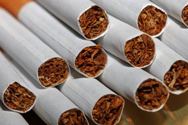 Renkli arka planda pek çok sigara, bir rulo tütünü kağıda sarıp filtre tüpüyle kapatılıyor. Sigara içilmeyen sigara yığınlarının ticari konsept görüntüsü yok. Sigara içilmeyen sigara tütünü yüksek neonicotinoid tehlikesini öldürüyor.