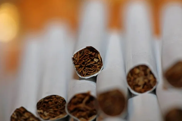 여과기 종이에 담배의 다채로운 배경에 담배를 닫습니다 상업적으로 캠페인 담배의 — 스톡 사진