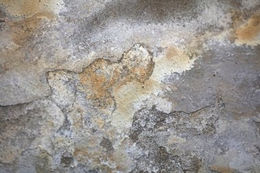 Hasarlı alçılı eski beyaz duvar. Arka plandaki binaları kapatıyor. Çimentoyu paramparça ediyor.