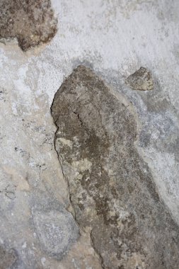 Hasarlı alçılı eski beyaz duvar. Arka plandaki binaları kapatıyor. Çimentoyu paramparça ediyor.