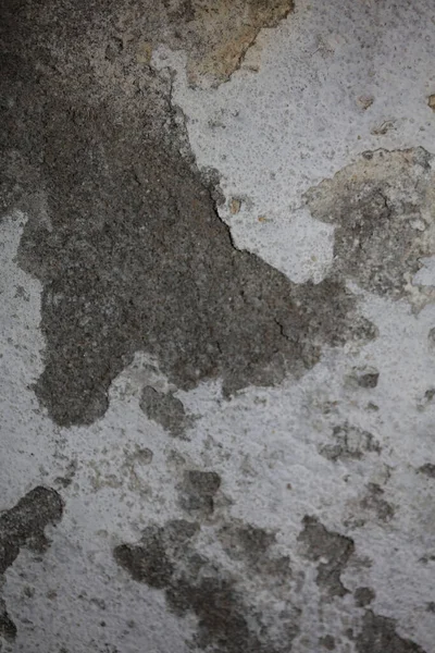 Hasarlı Alçılı Eski Beyaz Duvar Arka Plandaki Binaları Kapatıyor Çimentoyu — Stok fotoğraf