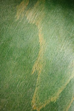 Eski yeşil koltuk deseni soyutlamaları. Arka planı kapatın. Yüksek kalite büyük boy stok fotoğrafçılığı hazır baskılar.