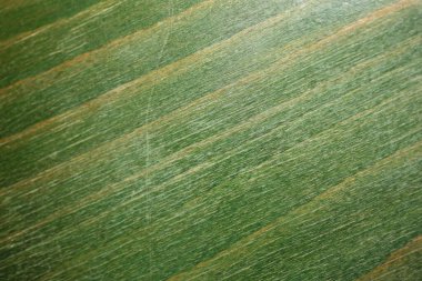 Eski yeşil koltuk deseni soyutlamaları. Arka planı kapatın. Yüksek kalite büyük boy stok fotoğrafçılığı hazır baskılar.