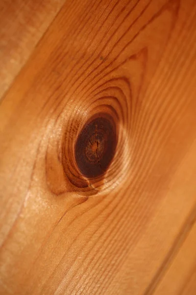 Orman Gözleri Görüyor Makro Kapalı Çam Ağacından Kaplama Dokuma Plaka — Stok fotoğraf