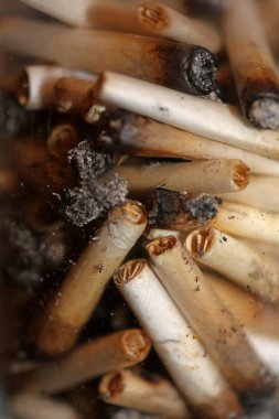 Birçok sigara tiryakisi şeffaf cam makro tüyo tıbbi kenevir Girit süper limon sisi yakın arkaplan ve duvar kağıtları süper kaliteli hazır stok fotoğrafçılık baskıları