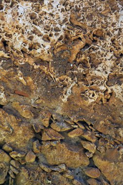 Girit Adası 'ndaki Fortezza kale şatosu. Rethimno tatili. Eski taş şehir anıtlarını keşfetmek.