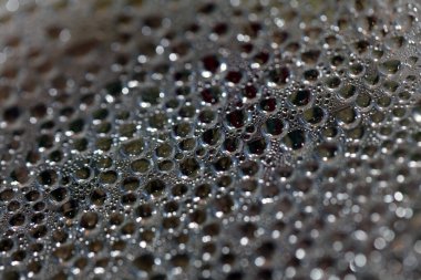 Su nem damlaları su üzerinde makro kabarcıklar renkli arka plan sıvısı anlar 50 megapiksel büyük boyutta hazır baskılar