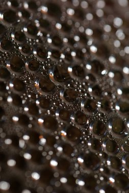 Su nem damlaları su üzerinde makro kabarcıklar renkli arka plan sıvısı anlar 50 megapiksel büyük boyutta hazır baskılar