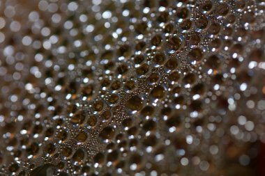 Su nem damlaları su üzerinde makro kabarcıklar renkli arka plan sıvısı anlar 50 megapiksel büyük boyutta hazır baskılar