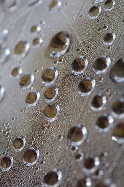 Su nem damlaları su üzerinde makro kabarcıklar renkli arka plan sıvısı anlar 50 megapiksel büyük boyutta hazır baskılar