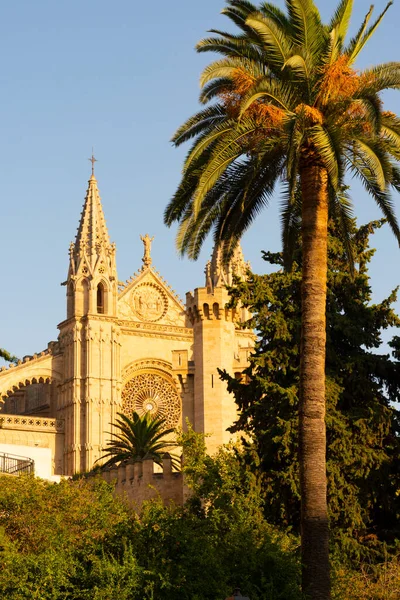 Palma Mallorca Balearerna Spanien Juli 2022 Del Fasaden Katedralen Palma — Stockfoto