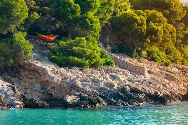 Stock image Hammocks strung between pine trees at sunrise next to the rocky shoreline