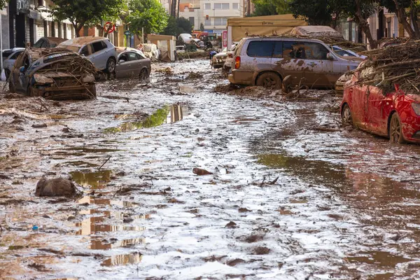 Catarroja, Valencia, İspanya. 31 Ekim 2024 - Çamur ve enkaz dolu caddede sel baskınlarından sonra araçlar çöp ve sazlıklarla kaplanmış olarak ortaya çıktı