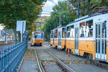 Canlı Bahar Renkleri ile çevrili Budapeşte Tramvayları Büyüleyici Bahar Sahnesi