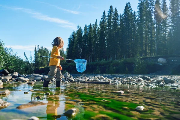 A preschooler is playing in a river with fishing net on a summer day