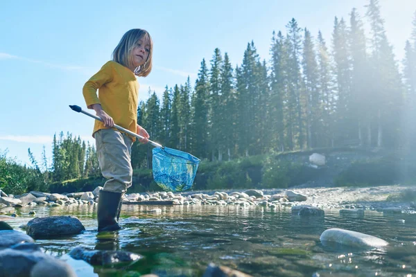 Preschooler Playing River Fishing Net Summer Day lizenzfreie Stockbilder