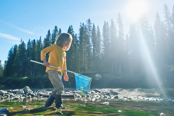 Preschooler Playing River Fishing Net Summer Day Imagen De Stock