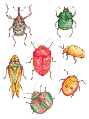 Suluboya böcekleriyle kusursuz desen. El çizimi suluboya böcek seti