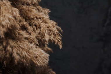 Karanlık bir arka planda kurumuş çiçeklerden yılbaşı ağacı