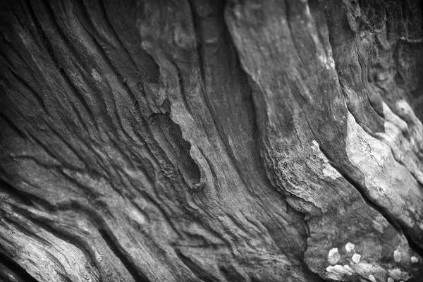 Tmavě Šedé Dřevo Textury Nebo Pozadí Kopírovat Prostor Pro Vás — Stock fotografie
