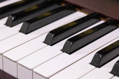 Eski piyano tuşunu kapat ve boşluğu kopyala