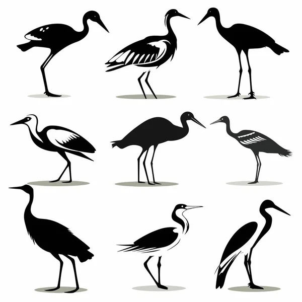 Czarny Biały Ptaków Ustawić Wektor Ilustracji Izolowane Biały — Wektor stockowy