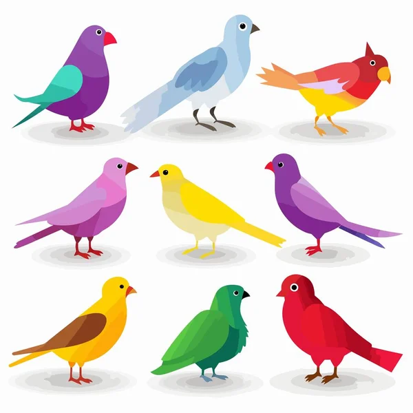 Uccelli Colorati Impostare Illustrazione Vettoriale Isolato Bianco — Vettoriale Stock