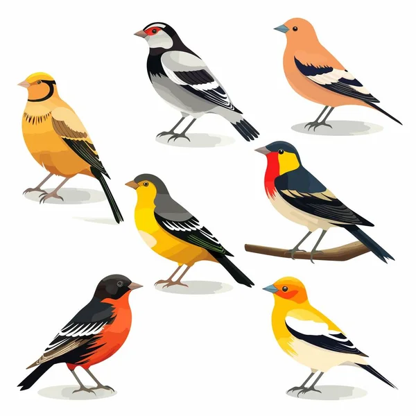 Aves Coloridas Conjunto Ilustração Vetorial Isolado Branco — Vetor de Stock