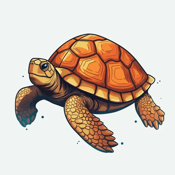 Векторная Иллюстрация Черепахи Изолирована Белом — стоковый вектор