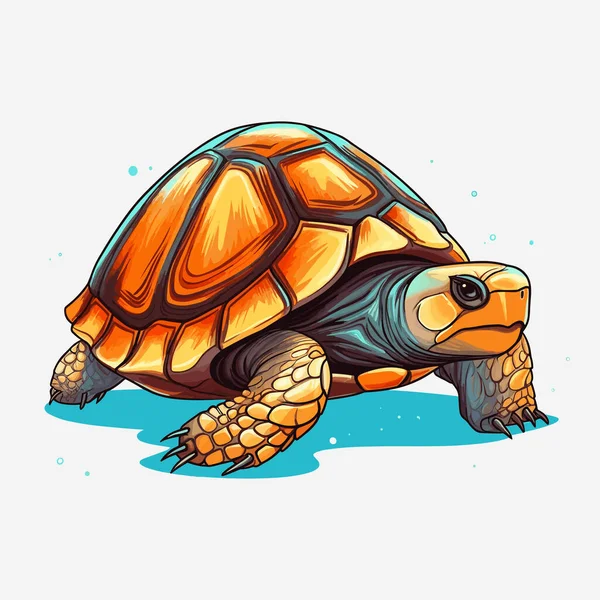Sköldpaddsvektor Illustration Isolerad Vit — Stock vektor