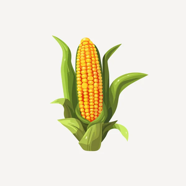 白色上孤立的玉米矢量图 — 图库矢量图片