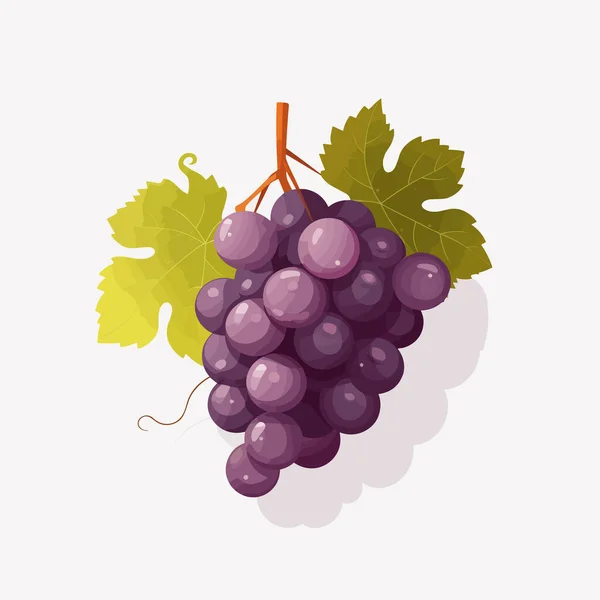 Grape Vektor Illustration Isolerad Vitt — Stock vektor