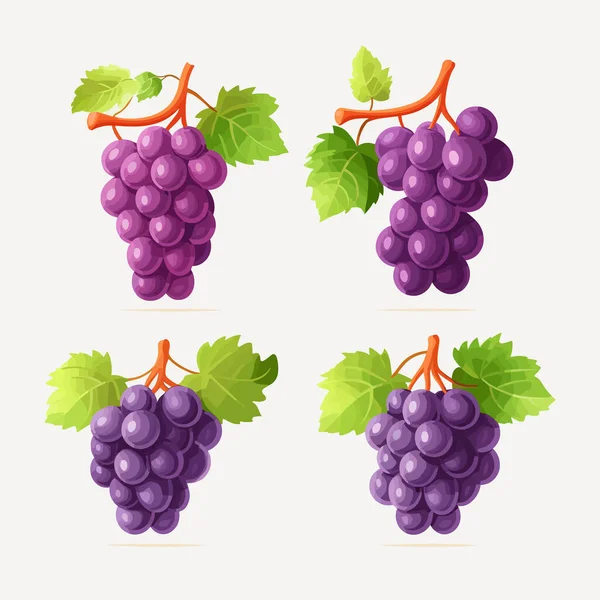 Grape Vector Illustration Set Isolated — Stock Vector
