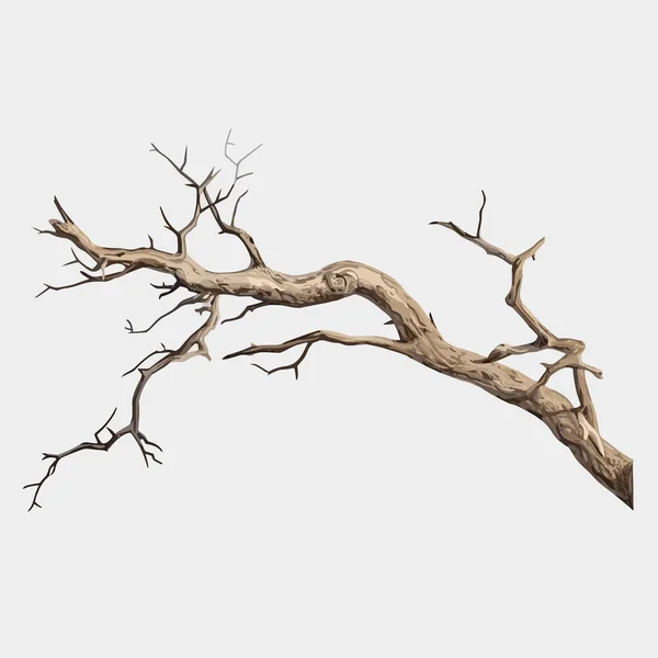 白で隔離された古い乾燥した枝ベクトル — ストックベクタ