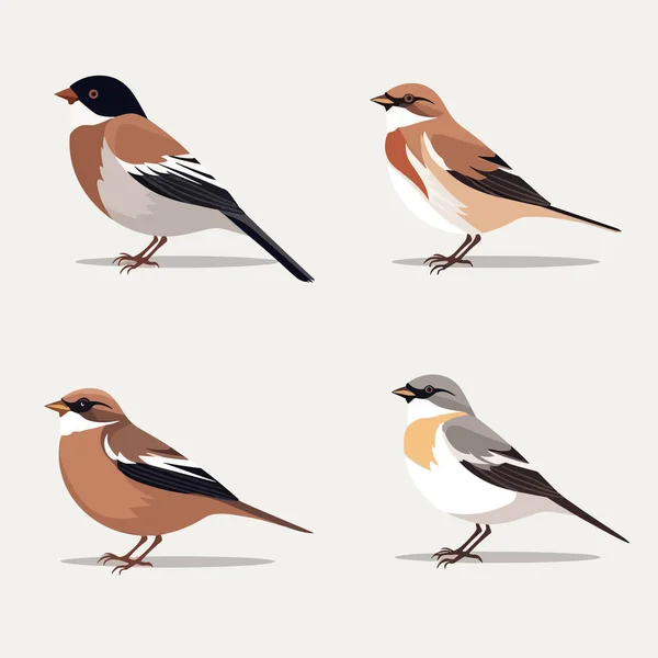 Conjunto Vetor Sparrow Isolado Branco — Vetor de Stock